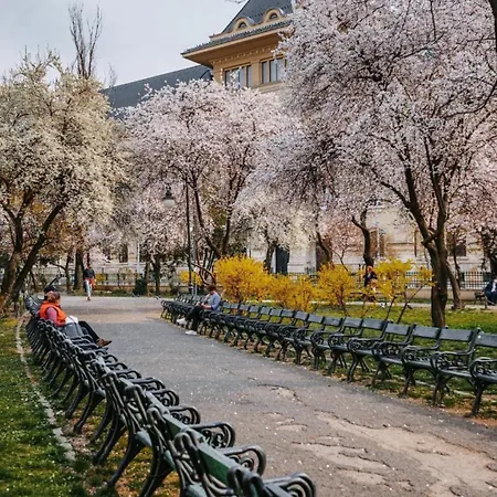 Garsoniera Lângă Palatul Parlamentului *