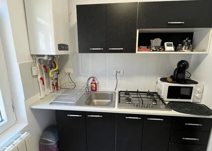 Garsoniera Langa Palatul Parlamentului * ブカレスト