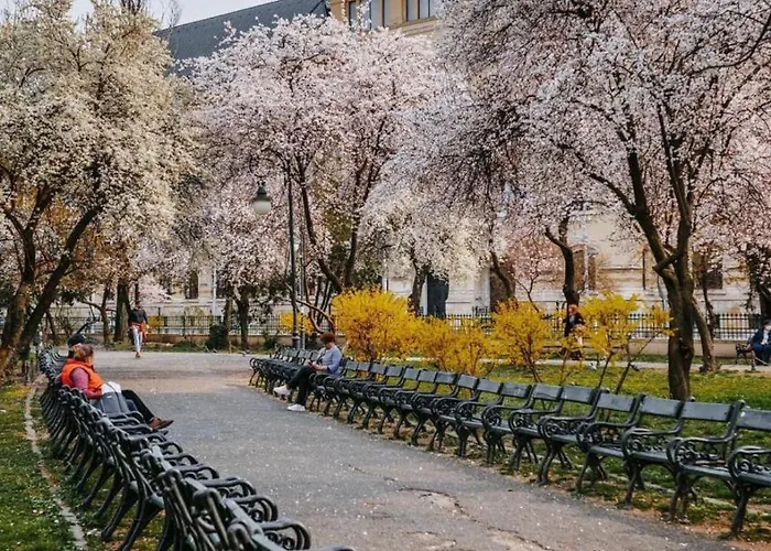 Garsoniera Langa Palatul Parlamentului *